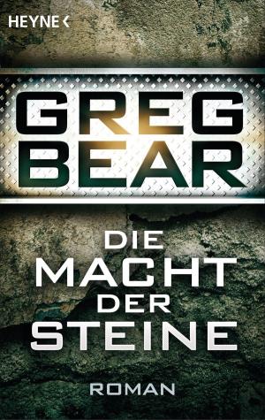 Book cover of Die Macht der Steine