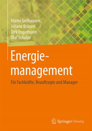 Cover of the book Energiemanagement by Dieter S. Weiler, Kai Ludwigs, Bernd Lindenberg, Björn Jopen