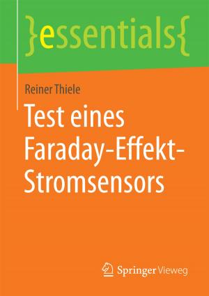 Cover of the book Test eines Faraday-Effekt-Stromsensors by Hendrik Hunold