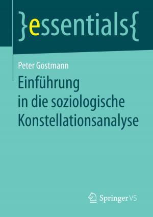 Cover of the book Einführung in die soziologische Konstellationsanalyse by Bernd Luderer, Karl-Heinz Eger, Dana Uhlig