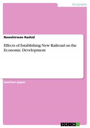 Cover of the book Effects of Establishing New Railroad on the Economic Development by Folkert Veenhuis, Steffen Gansmann