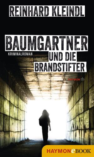Cover of the book Baumgartner und die Brandstifter by Jürg Amann