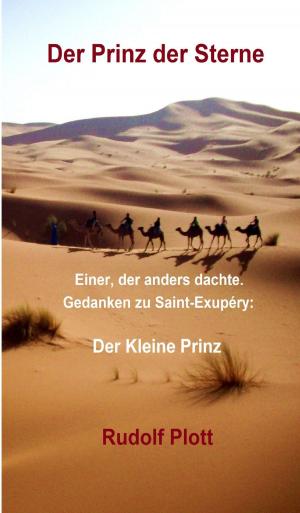 Cover of the book Der Prinz der Sterne by Heribert Steger