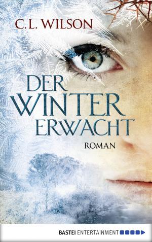 Cover of the book Der Winter erwacht by Rebecca Gablé