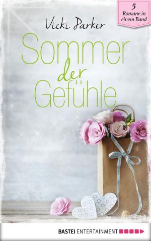 Book cover of Sommer der Gefühle