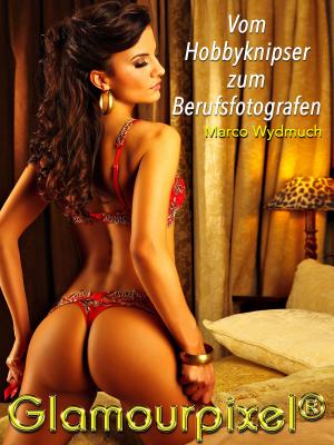 Cover of the book Vom Hobbyknipser zum Berufsfotografen by Ulrike Gronert, Dagmara Berztiss
