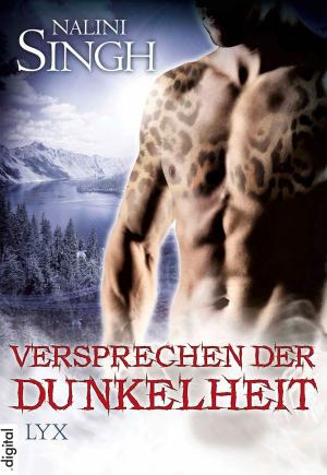 Book cover of Versprechen der Dunkelheit
