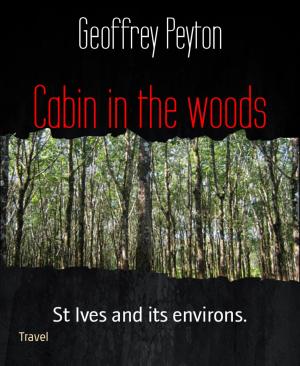 Cover of the book Cabin in the woods by Freya Phoenix, Michaela Feitsch