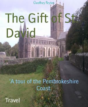 Cover of the book The Gift of St. David by Amelie Winter