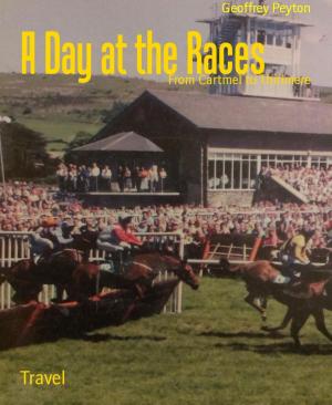 Cover of the book A Day at the Races by Bryde Enoh