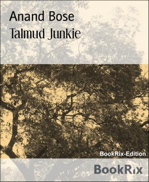 Cover of the book Talmud Junkie by Steven J. Harrison