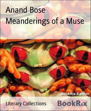 Book cover of Meanderings of a Muse