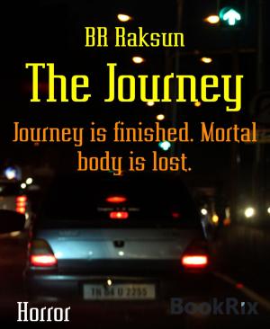 Cover of the book The Journey by Preston Randall