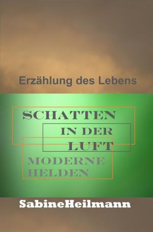 Cover of the book Schatten in der Luft by Paul Tobias Dahlmann