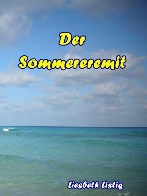 Cover of the book Der Sommereremit by Paul Tobias Dahlmann