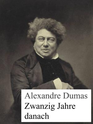 Cover of the book Zwanzig Jahre danach by Annedore Scherf
