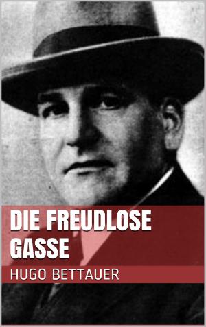 Cover of the book Die freudlose Gasse by Gabriele Beyerlein