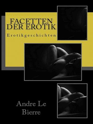 Book cover of Facetten der Erotik