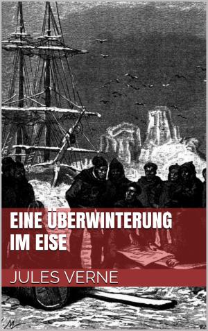 Cover of the book Eine Überwinterung im Eise by Michael Ryantsev