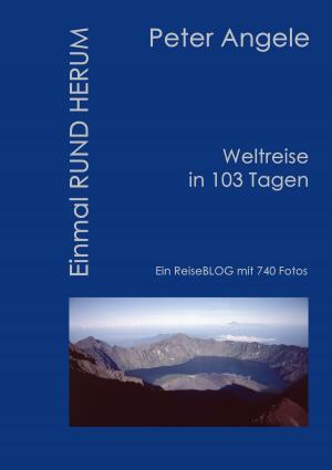 Cover of the book Einmal Rund Herum by Martin Keller