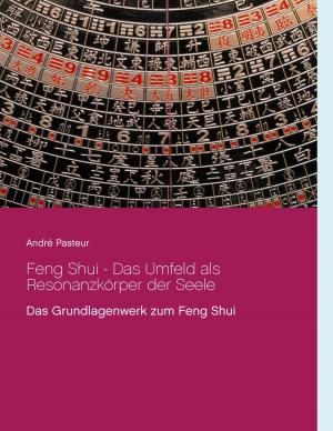 Cover of the book Feng Shui - Das Umfeld als Resonanzkörper der Seele by Sabine Wolff