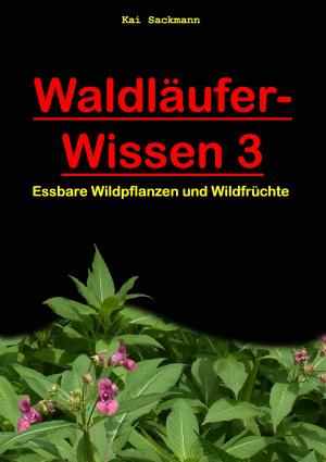 Cover of the book Waldläufer-Wissen 3 by Norbert Braun