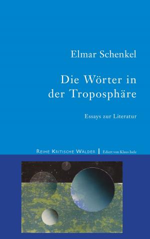Cover of the book Die Wörter in der Troposphäre by Jean-François Jabaudon