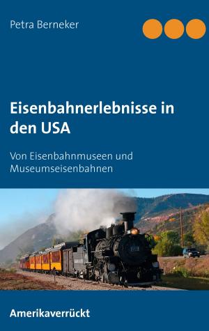 Cover of the book Eisenbahnerlebnisse in den USA by Bernhard Stentenbach