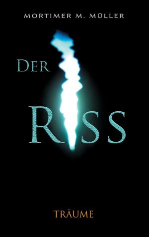 Cover of the book Der Riss by Jutta Schütz