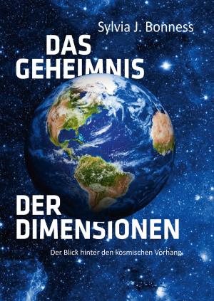 Cover of the book Das Geheimnis der Dimensionen by Wolfgang Fröhling