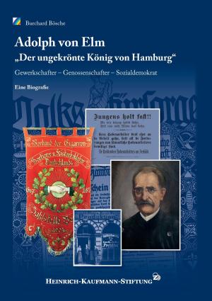 Cover of the book Adolph von Elm by Jürgen Hogeforster, Elina Priedulena