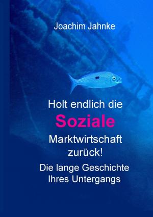 Cover of the book Holt endlich die Soziale Marktwirtschaft zurück! by Andreas Hambsch