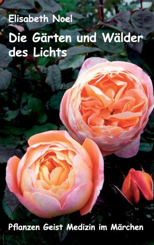 Cover of the book Die Gärten und Wälder des Lichts by Barbara Brandenburg