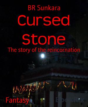 Cover of the book Cursed Stone by Egon Shooter