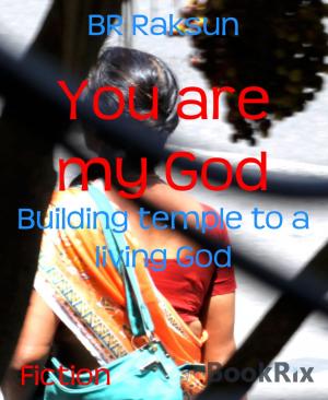 Cover of the book You are my God by Vivian Anioke
