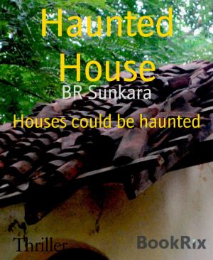 Cover of the book Haunted House by Peter Wagner