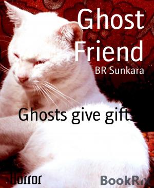 Cover of the book Ghost Friend by Jo Zybell, Steve Salomo
