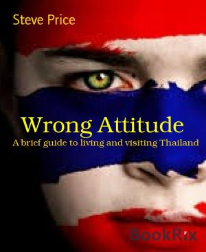 Cover of the book Wrong Attitude by Stefan Geschwie