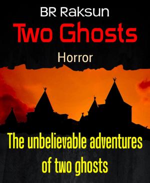 Cover of the book Two Ghosts by Daniel Herbst