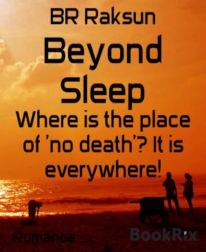 Cover of the book Beyond Sleep by Paula Tully