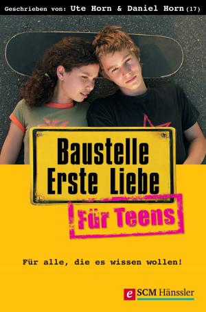 Book cover of Baustelle Erste Liebe für Teens