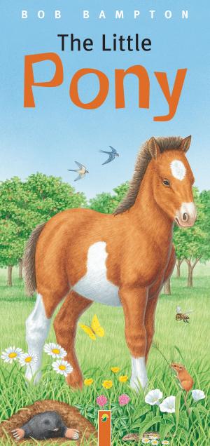 Cover of the book The Little Pony by Annette Huber, Doris Jäckle, Sabine Streufert