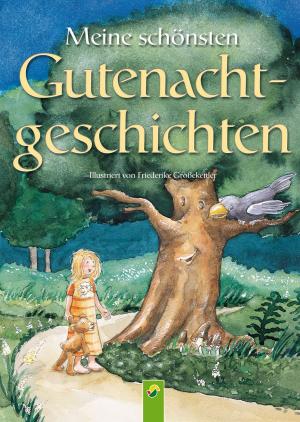 Cover of the book Meine schönsten Gutenachtgeschichten by Petra Kulbatzki