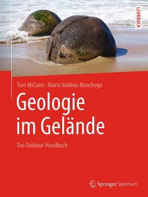 Book cover of Geologie im Gelände