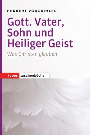 Cover of the book Gott. Vater, Sohn und Heiliger Geist by Gregor Maria Hoff