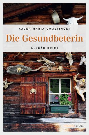 Cover of the book Die Gesundbeterin by Helmut Vorndran