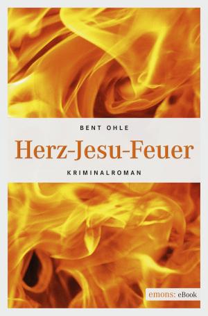Book cover of Herz-Jesu-Feuer