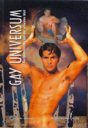 Cover of the book Gay Universum by Manuel Sandrino