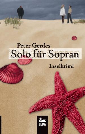 Cover of the book Solo für Sopran: Inselkrimi by Peter Gerdes