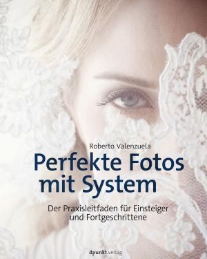 Cover of the book Perfekte Fotos mit System by Jochen Ludewig, Horst Lichter